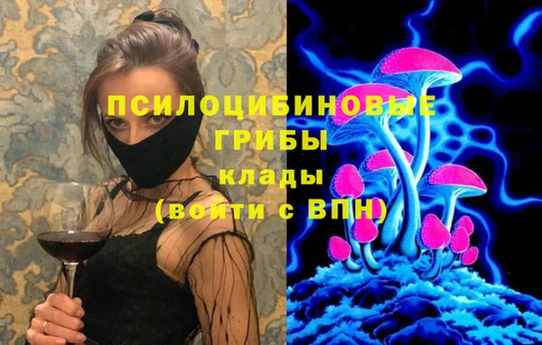 мдма Краснослободск