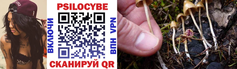 Галлюциногенные грибы Magic Shrooms  Севск 